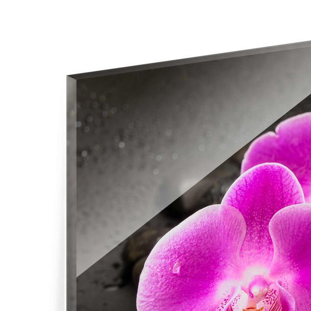 Glasbild - Pinke Orchideenblüten auf Steinen mit Tropfen - Hochformat 4:3