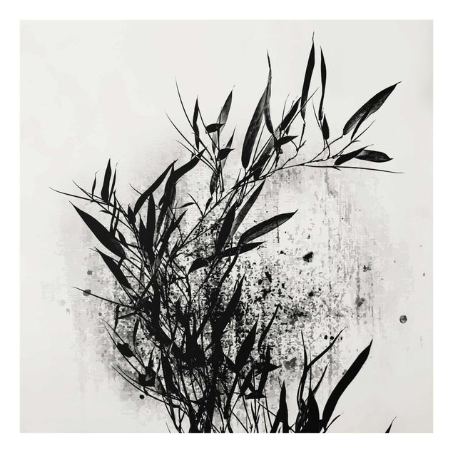 Glasbild - Grafische Pflanzenwelt - Schwarzer Bambus - Quadrat 1:1