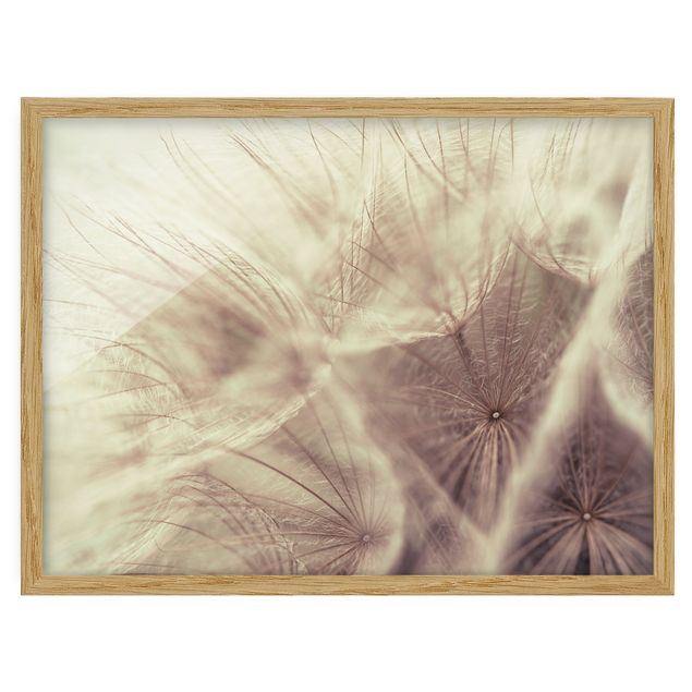 Bild mit Rahmen - Detailreiche Pusteblumen Makroaufnahme mit Vintage Blur Effekt - Querformat 3:4