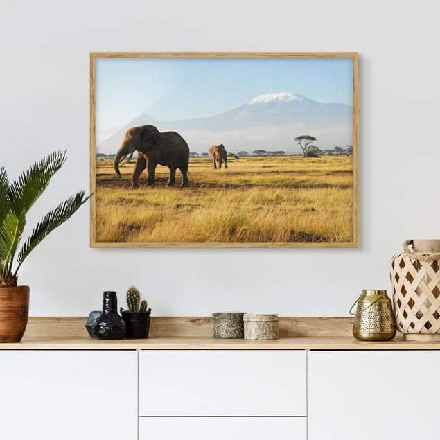 Bild mit Rahmen - Elefanten vor dem Kilimanjaro in Kenia - Querformat 3:4