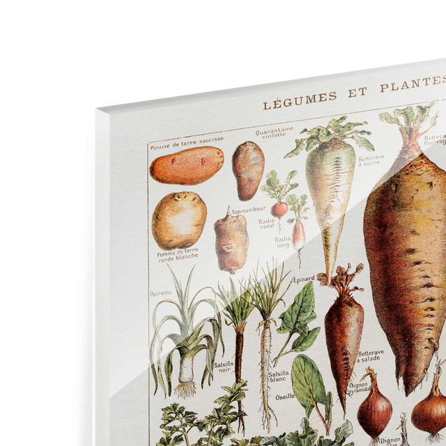 Glasbild - Vintage Lehrtafel Gemüse - Hochformat 4:3