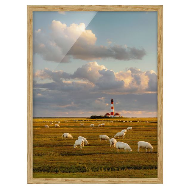 Bild mit Rahmen - Nordsee Leuchtturm mit Schafsherde - Hochformat 3:4