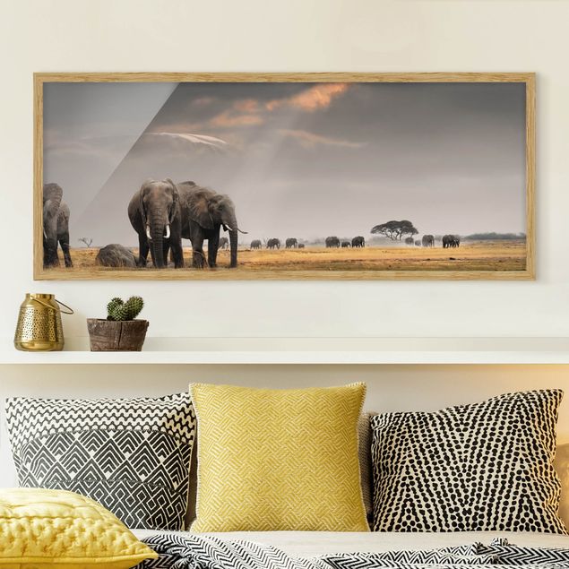 Bild mit Rahmen - Elefanten der Savanne - Panorama Querformat