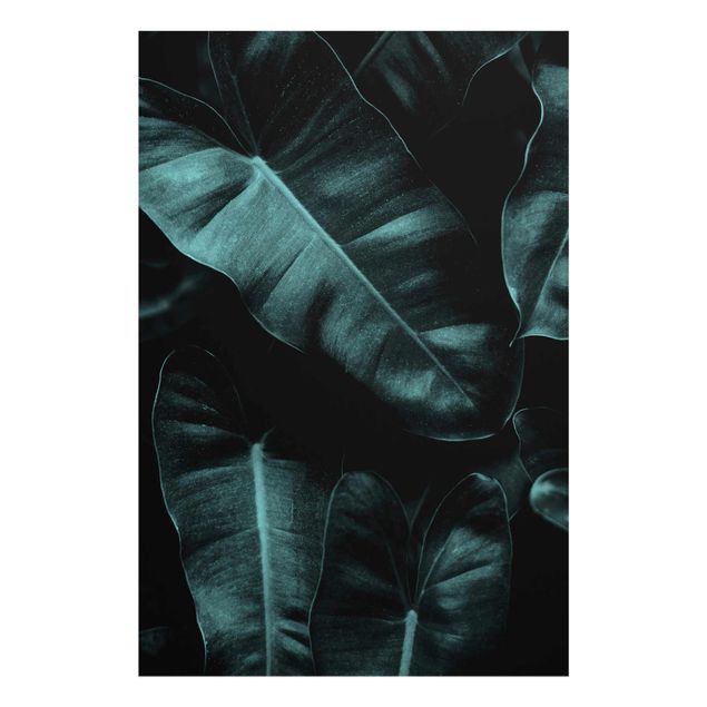 Glasbild - Dschungel Blätter Dunkelgrün - Hochformat 3:2