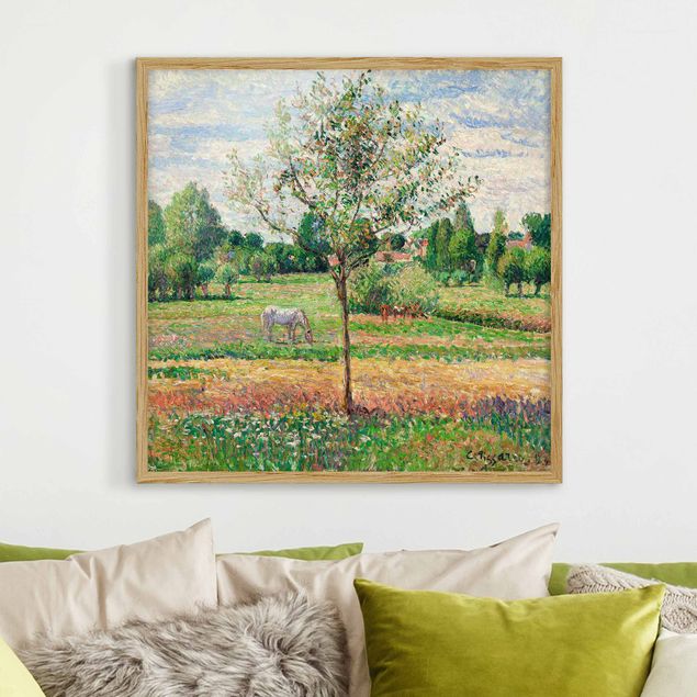 Bild mit Rahmen - Camille Pissarro - Wiese mit Schimmel - Quadrat 1:1