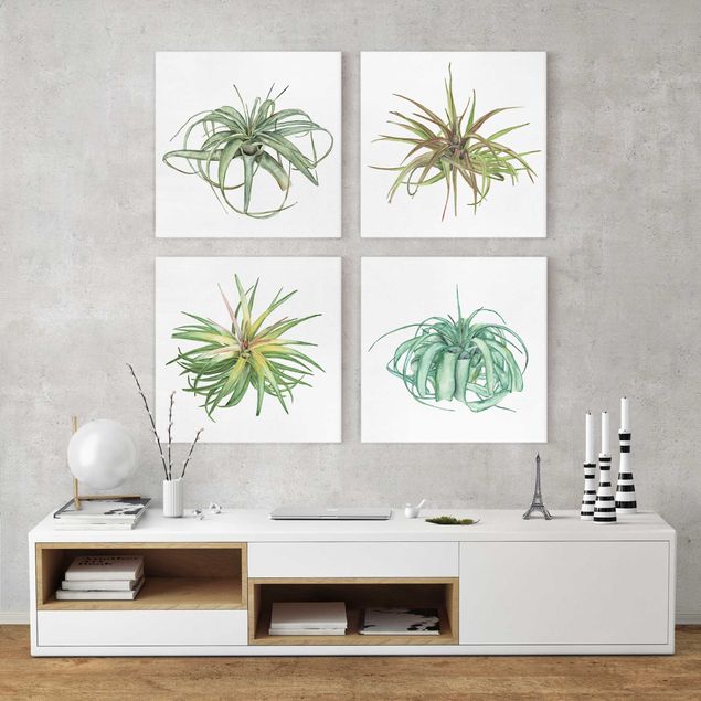Leinwandbild 4-teilig - Luftpflanze Aquarell Set I