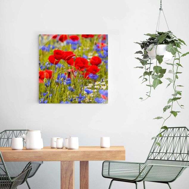 Glasbild - Sommerwiese mit Mohn und Kornblumen - Quadrat 1:1
