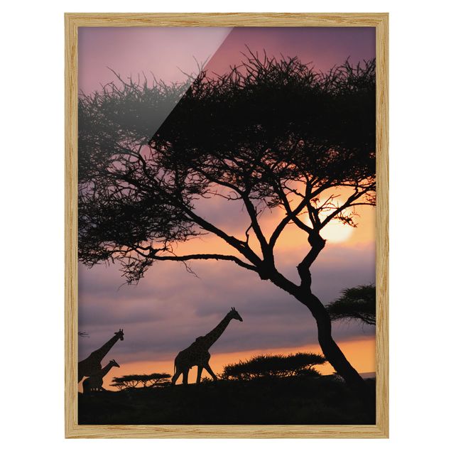 Bild mit Rahmen - Safari in Afrika - Hochformat 4:3