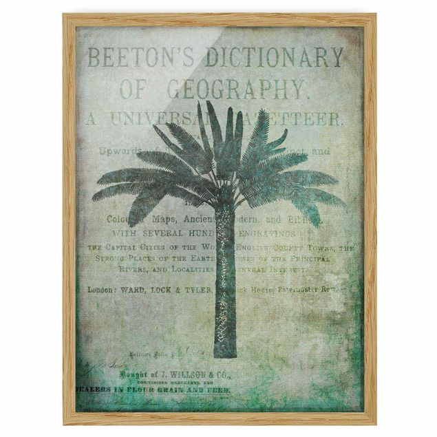 Bild mit Rahmen - Vintage Collage - Antike Palme - Hochformat 4:3