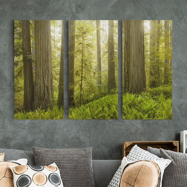 Leinwandbild 3-teilig - Redwood State Park Waldblick - Hoch 1:2