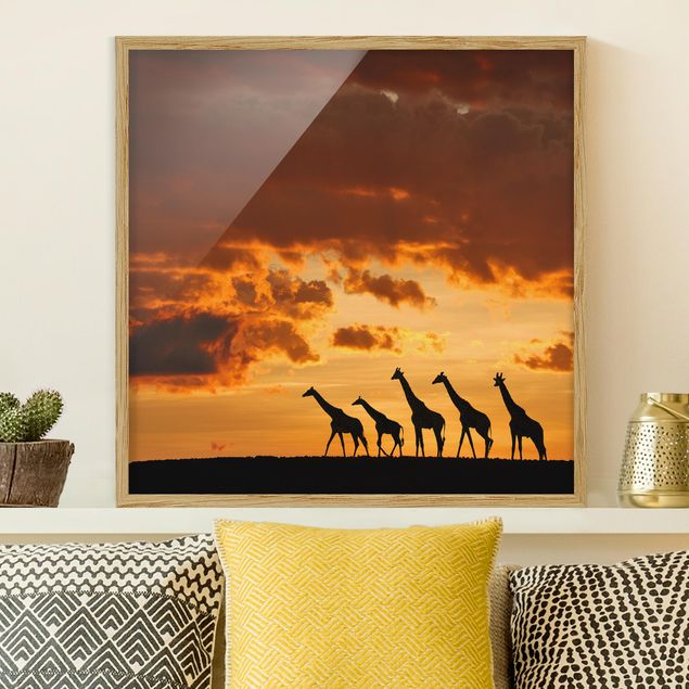 Bild mit Rahmen - Fünf Giraffen - Quadrat 1:1