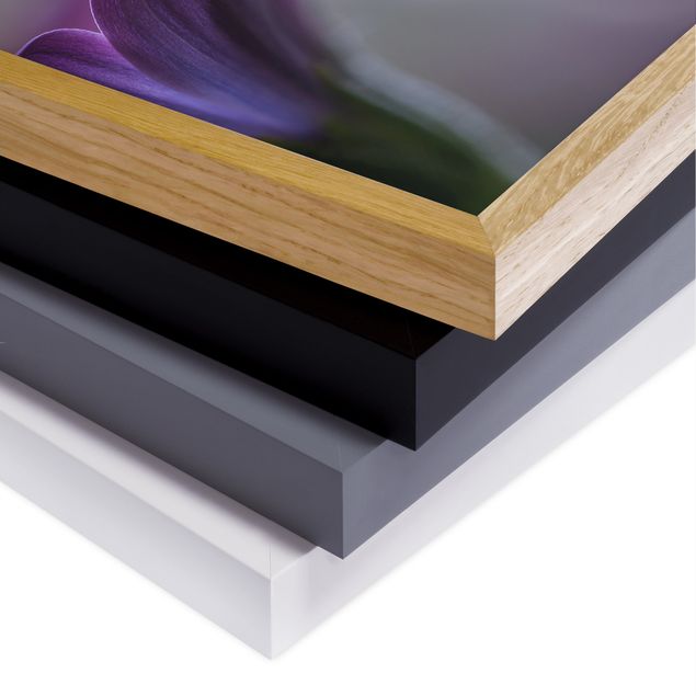 Bild mit Rahmen - Purple Rain - Quadrat 1:1