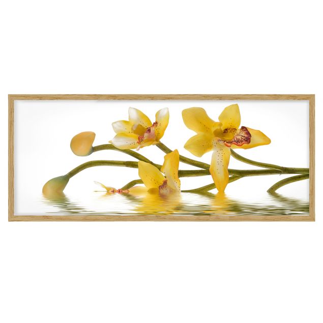 Bild mit Rahmen - Saffron Orchid Waters - Panorama Querformat