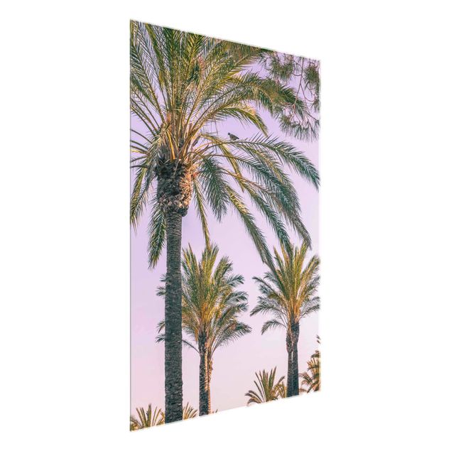 Glasbild - Palmen im Sonnenuntergang - Hochformat 4:3