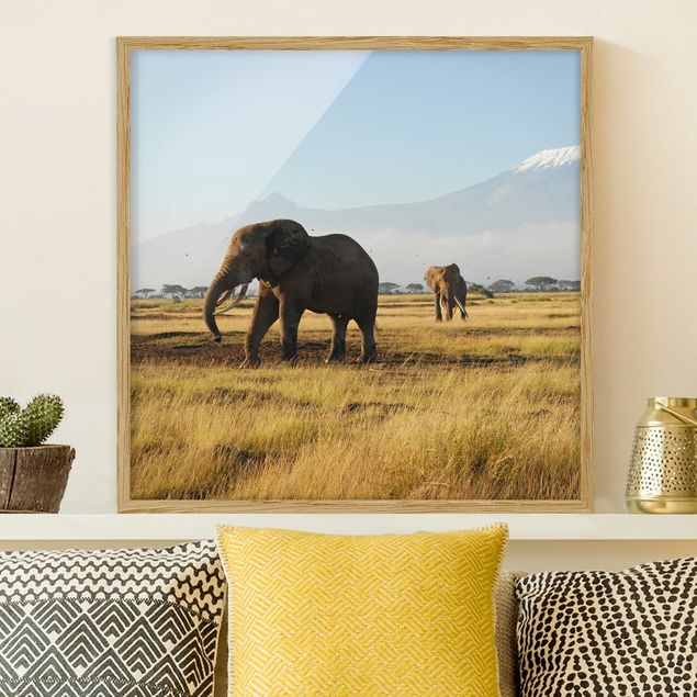 Bild mit Rahmen - Elefanten vor dem Kilimanjaro in Kenya - Quadrat 1:1