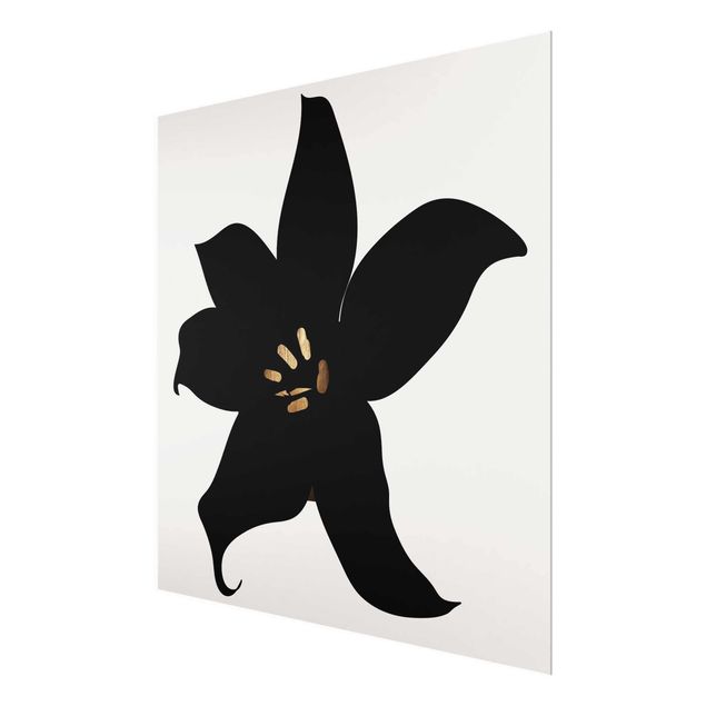 Glasbild - Grafische Pflanzenwelt - Orchidee Schwarz und Gold - Quadrat 1:1