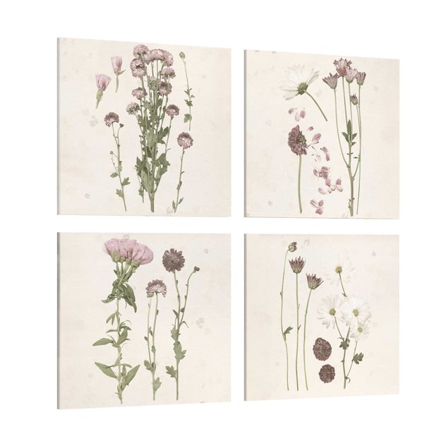 Leinwandbild 4-teilig - Herbarium in rosa Set I