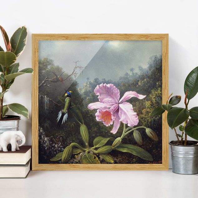 Bild mit Rahmen - Martin Johnson Heade - Stillleben mit Orchidee und zwei Kolibris - Quadrat 1:1