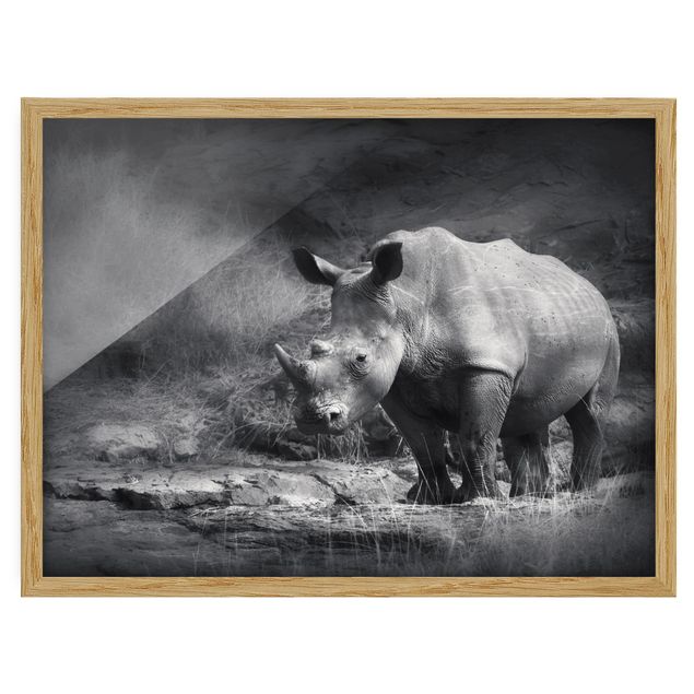 Bild mit Rahmen - Lonesome Rhinoceros - Querformat 3:4