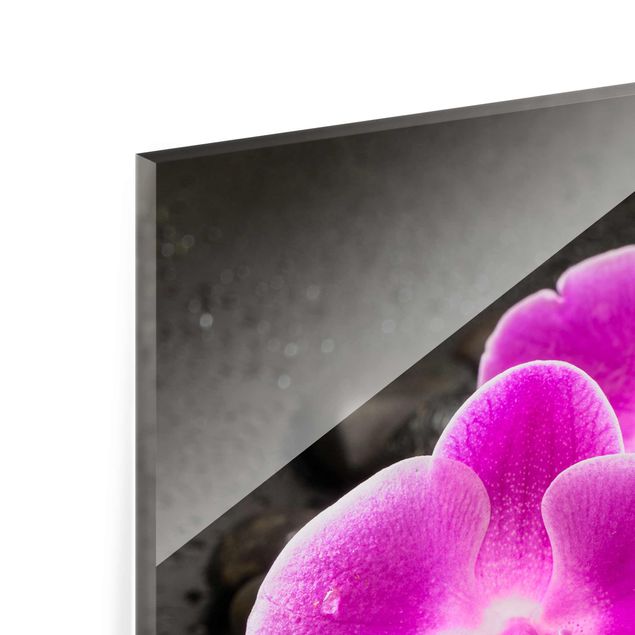 Glasbild - Pinke Orchideenblüten auf Steinen mit Tropfen - Hochformat 3:2