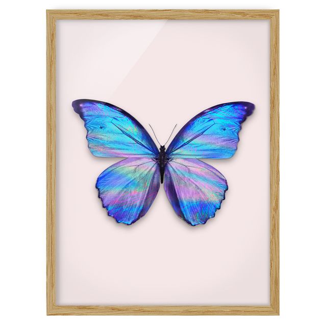 Bild mit Rahmen - Jonas Loose - Holografischer Schmetterling - Hochformat 4:3