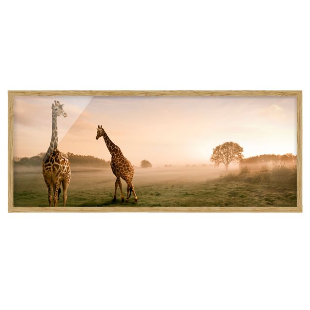 Bild mit Rahmen - Surreal Giraffes - Panorama Querformat