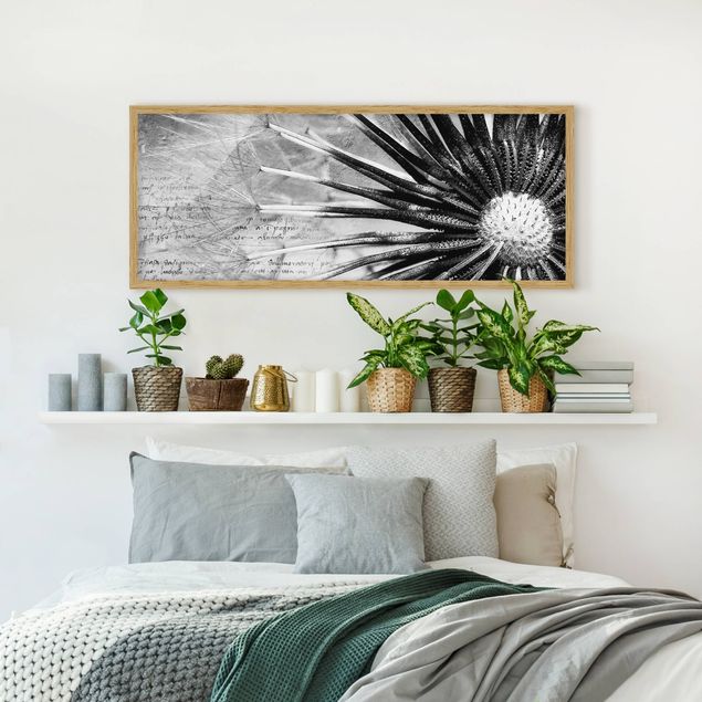 Bild mit Rahmen - Pusteblume Schwarz & Weiß - Panorama Querformat