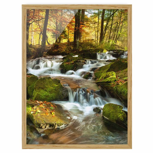 Bild mit Rahmen - Wasserfall herbstlicher Wald - Hochformat 3:4
