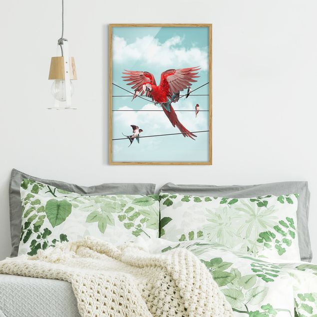 Bild mit Rahmen - Jonas Loose - Himmel mit Vögeln - Hochformat 4:3