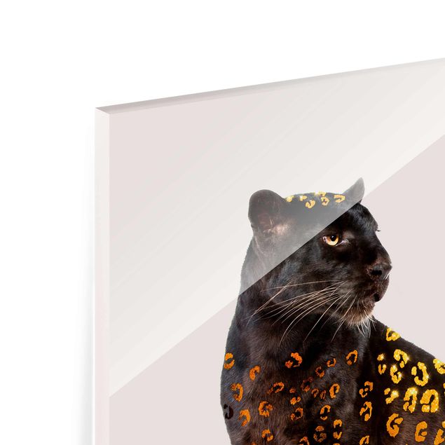Glasbild - Jonas Loose - Goldener Panther - Quadrat 1:1
