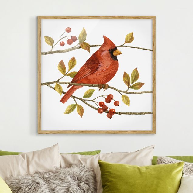 Bild mit Rahmen - Vögel und Beeren - Rotkardinal - Quadrat 1:1