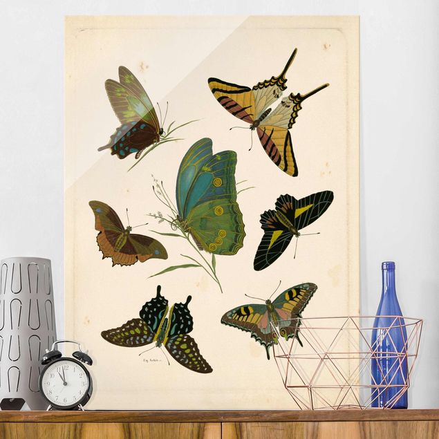 Magnettafel Glas Vintage Illustration Exotische Schmetterlinge