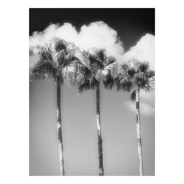 Glasbild - Palmen vor Himmel Schwarz-Weiß - Hochformat 4:3