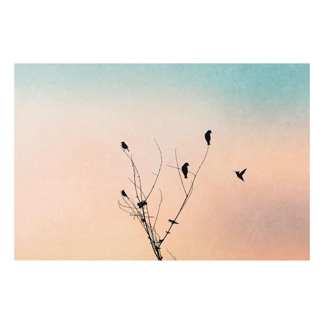 Glasbild - Vögel vor rosa Sonne II - Querformat 2:3