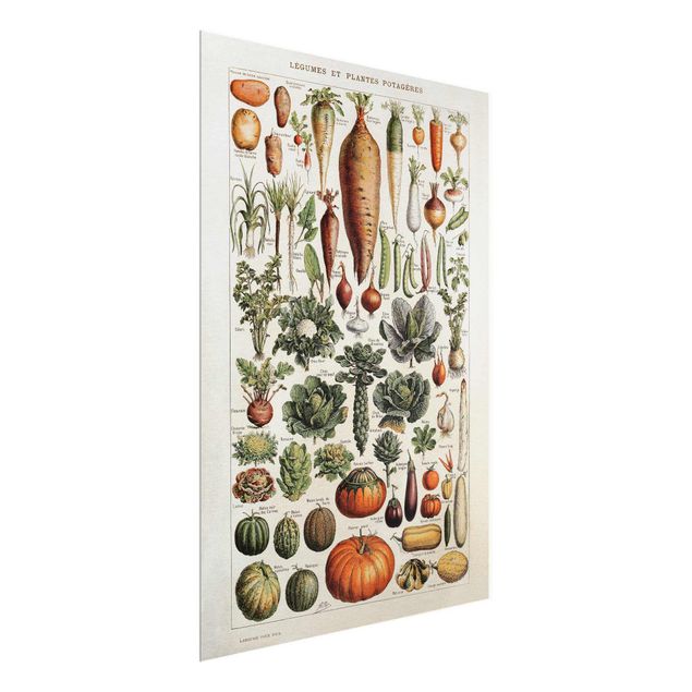 Glasbild - Vintage Lehrtafel Gemüse - Hochformat 4:3
