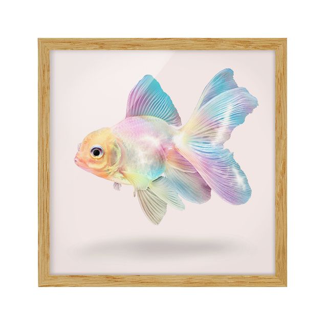 Bild mit Rahmen - Jonas Loose - Fisch in Pastell - Quadrat 1:1