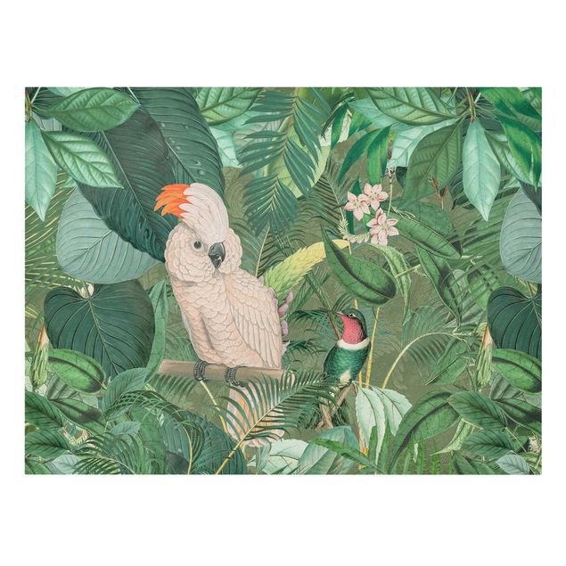 Leinwandbild - Vintage Collage - Kakadu und Kolibri - Querformat 3:4