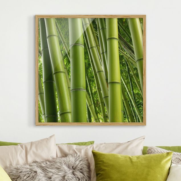 Bild mit Rahmen - Bamboo Trees - Quadrat 1:1