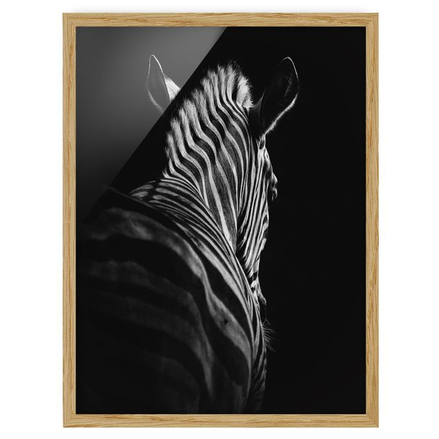 Bild mit Rahmen - Dunkle Zebra Silhouette - Hochformat 4:3