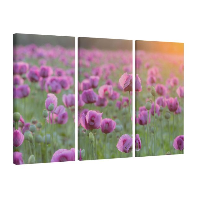 Leinwandbild 3-teilig - Violette Schlafmohn Blumenwiese im Frühling - Hoch 1:2