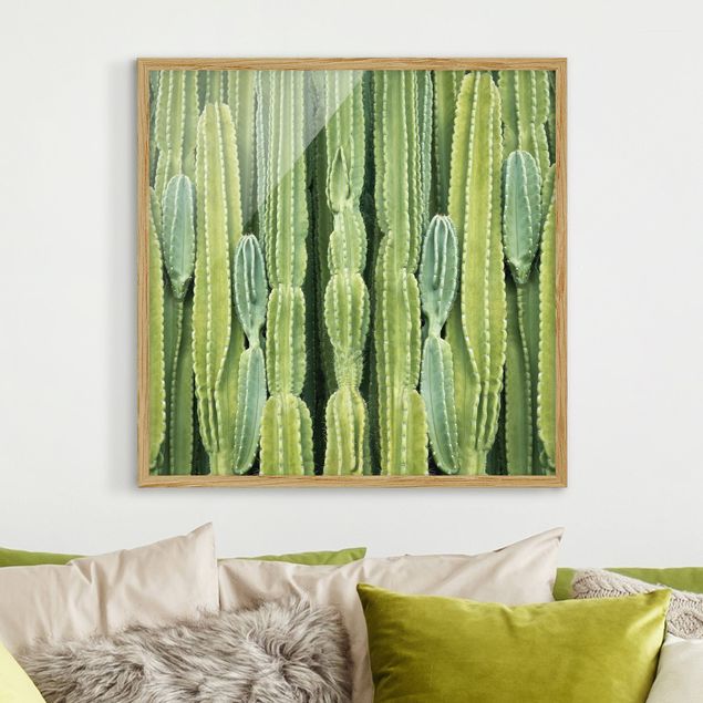 Bild mit Rahmen - Kaktus Wand - Quadrat 1:1