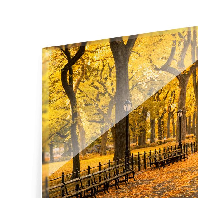 Glasbild - Herbst im Central Park - Panorama