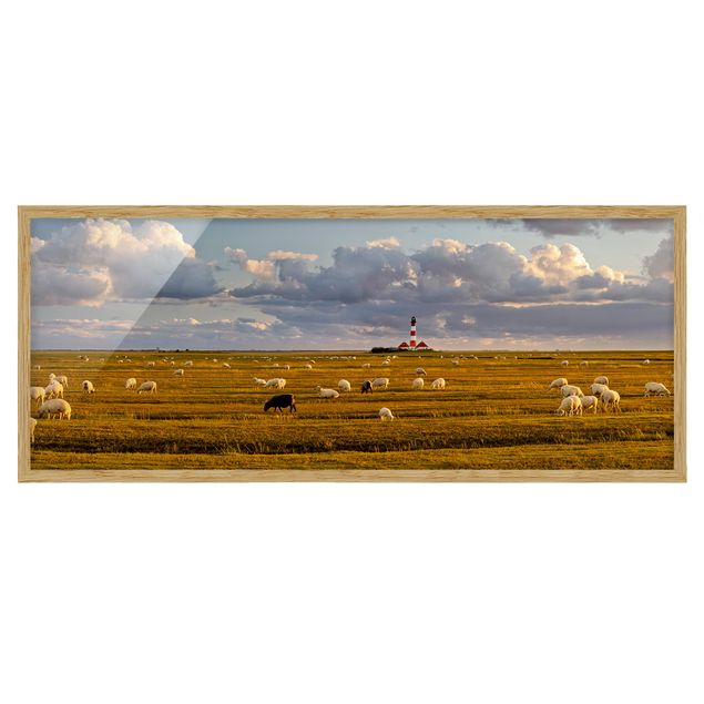 Bild mit Rahmen - Nordsee Leuchtturm mit Schafsherde - Panorama Querformat