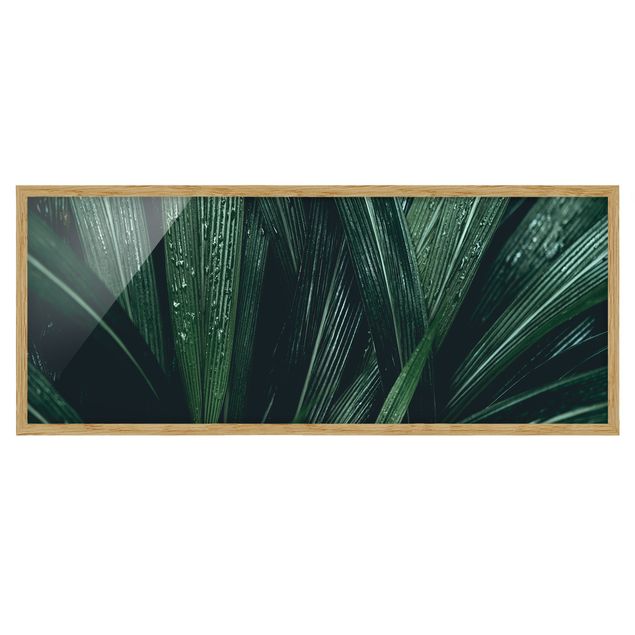 Bild mit Rahmen - Grüne Palmenblätter - Panorama Querformat