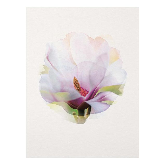 Glasbild - Wasserfarben - Zarte Magnolienblüte - Hochformat 4:3