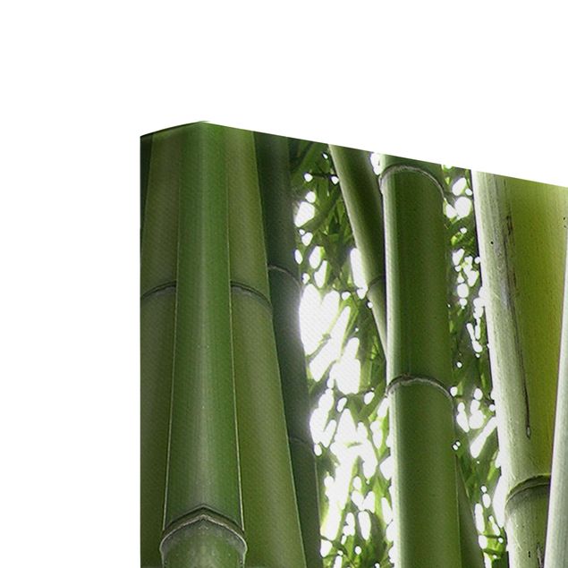Leinwandbild 3-teilig - Bamboo Trees - Hoch 1:2