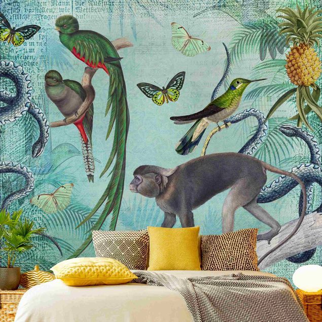 Tapete selbstklebend - Colonial Style Collage - Äffchen und Paradiesvögel - Fototapete Quadrat