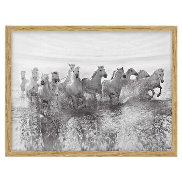 Bild mit Rahmen - Weiße Pferde im Meer - Querformat 3:4