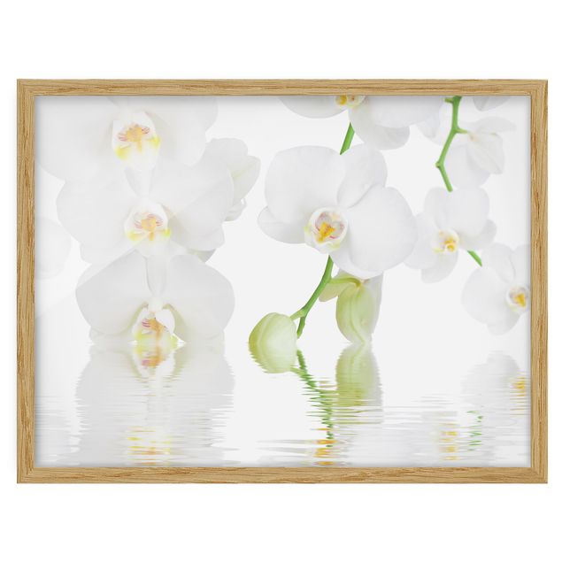 Bild mit Rahmen - Wellness Orchidee - Weiße Orchidee - Querformat 3:4