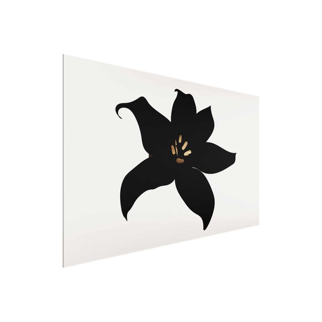 Glasbild - Grafische Pflanzenwelt - Orchidee Schwarz und Gold - Querformat 2:3